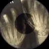 alex - @alexdeerr - TikTok