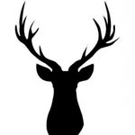 Alex_deer_shop - @alex_deer_shop - Instagram