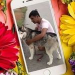 Alex DeVito - @devito_alex - Instagram