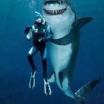 Alex Dexter - @alexdexter557 - Instagram