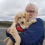 Alex Dickie - @happypupsdogwalkingni - Instagram
