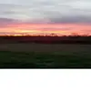 alexisdriggs63 - @alexisdriggs63 - TikTok