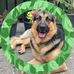 Alex Duffy - Facebook