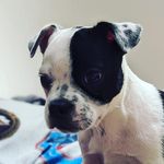 Alex Dunstan - @blu_6569 - Instagram