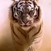 Alex Duron885 - @alexduron885 - TikTok