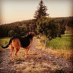 Alex Duron - @alex.duron.90 - Instagram