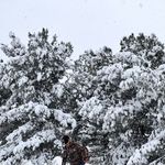 Alex Durón - @alexlucio4055 - Instagram