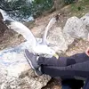 @alex - @alexebner750 - TikTok