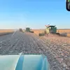 FarmerAlex - @alexengelstad - TikTok
