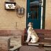 Alex Ephraim - Facebook