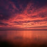 Alex Erler - @der_letze_ueberlebende - Instagram