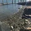 alexandra.erler - @lexi.povs11 - TikTok
