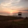 AlexErler87 - @alexerler87 - TikTok