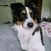 alexfaircloth515 - @alexfaircloth515 - TikTok