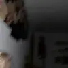 Alex Feil - @alex.feil4 - TikTok