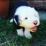Alex - @alexfilipiak64yt - Instagram