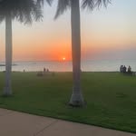 Alex Forward - @alex.forward.35 - Instagram