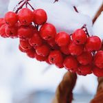 Reagan Wheeler - @__alex_fredette__eb7g_ - Instagram