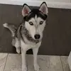 Alex Galdos - @alexgaldos69 - TikTok