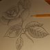 Alex Galea - Facebook