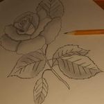 Alex Galea - @alexgalea223 - Instagram