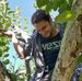 Alex Gallant - Facebook