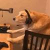 alex - @alexgardenn - TikTok