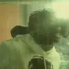 Alex Garvin - @alexgarvin50 - TikTok