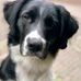 Alex Gebhardt - Facebook