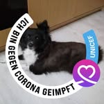 Alex Gebhardt - @wildgulasch - Instagram