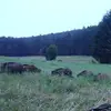 Alex Gebhardt - @alex.gebhardt7 - TikTok