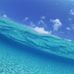 Alex Gebhardt - Facebook