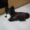 Ich - @alexgebhardt17 - TikTok