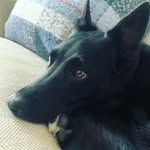 Alex Gerken - @gerken_alex - Instagram