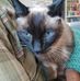 Alex Getz - Facebook