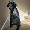 a.g.15 - @alex.geyer.15 - TikTok