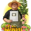 พี่ต้อม เกษตรปลอดสารพิษ - @tom61319 - TikTok