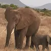 gitaualex431 - @alex._gitau - TikTok