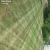 Alex Glaze mowing service. - Facebook