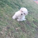 Alex Gordillo - Facebook