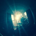 Alex Gorham - @agmcmxcviii - Instagram