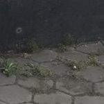 Alex Gräber - @alexander___68 - Instagram