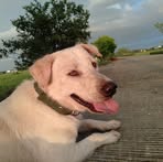 Alex Griego - Facebook