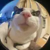 Alexa Grierson - @alexa.hollingsworth - TikTok