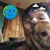 Alex Grigg - Facebook