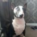 Alex Grigg - Facebook