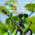 Alex Grillo - Facebook