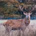 Alex Hackworth - Facebook