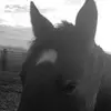 alexis.hallmark - @alexis.hallmark - TikTok