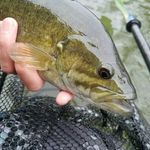 Alex Halverson - @oxbow.critter - Instagram